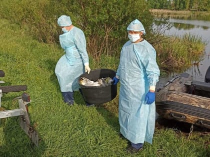 Нижегородское ветуправление предупреждает об угрозе распространения гриппа птиц