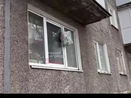 «Их очень много». Сильно истощенные собаки обеспокоили нижегородцев