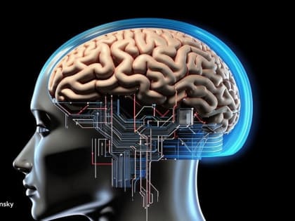 Neuralink получила разрешение на вживление второго импланта в мозг человека