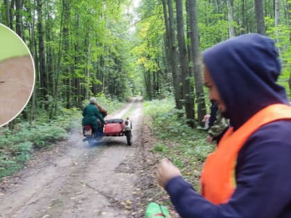 Смертельный укус: в каких регионах могут быть комары, зараженные ВИЧ и гепатитом