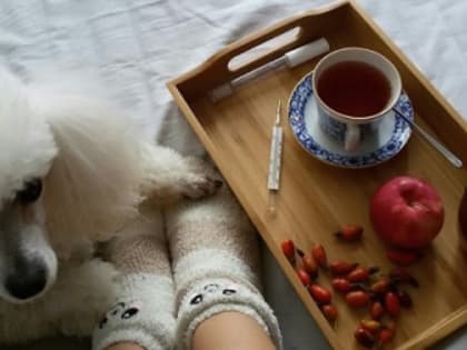 Свыше 21 тысячи нижегородцев подхватили ОРВИ за неделю