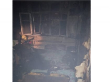 Мужчина погиб при пожаре в частном доме в Московском районе