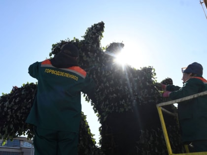 Фигурные цветники начали устанавливать на улицах Казани