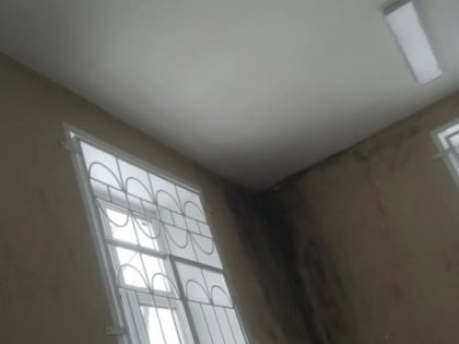 Обработку проведут в ЦГБ Арзамаса после жалоб на черную плесень