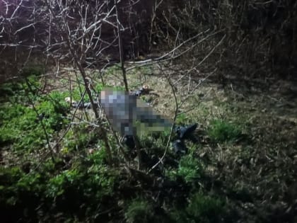 Соцсети: мужчина выпал из окна девятого этажа дома в Дзержинске