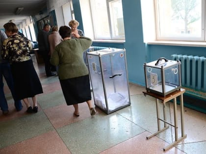 Явка на довыборы депутата Законодательного собрания Нижегородской области выросла до 5,5%