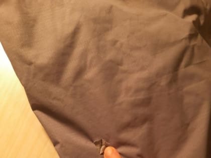 Соцсети: собака покусала 9-летнюю девочку в Дзержинске