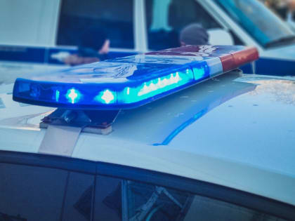 Напали толпой. Школьниц жестоко избили в Нижегородской области