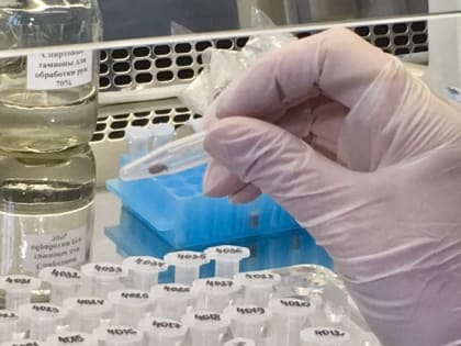 Аномально теплый январь спровоцировал пробуждение клещей в Нижегородской области