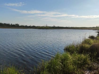Жуткий труп нашли в нижегородской реке
