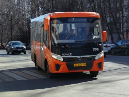 Антисанитария развелась в нижегородских автобусах