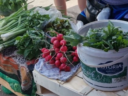 “Максимальное количество полезных веществ”: что съесть, чтобы не заболеть в сезон простуд