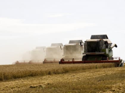 Более миллиона тонн зерна нового урожая собрали в Нижегородской области