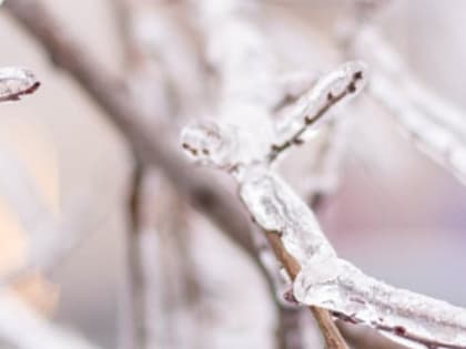 Снегопад и похолодание до -14 °C обещают в Нижнем Новгороде 20 февраля