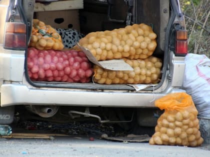 Стало известно, какие продукты пошевели в Нижегородской области за неделю