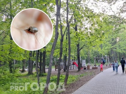 Врач предупредил: 