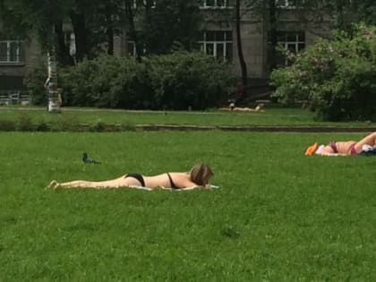 Жара до +30 градусов ожидается в Нижегородской области в июле