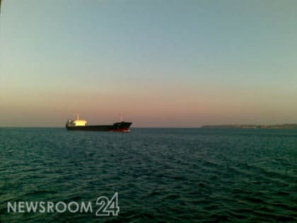 Сухогруз «Инженер Шуткова» сел на мель в Нижнем Новгороде