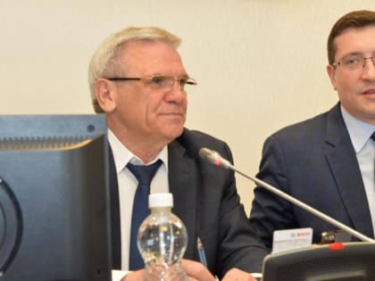 Нижегородский политик объяснил победу Никитина на выборах