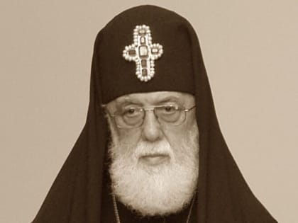 Глава Нижегородской митрополии поздравил Предстоятеля Грузинской Православной Церкви с 90-летием