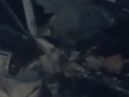 Женщина погибла в лобовом ДТП в Сергачском районе под Новый год