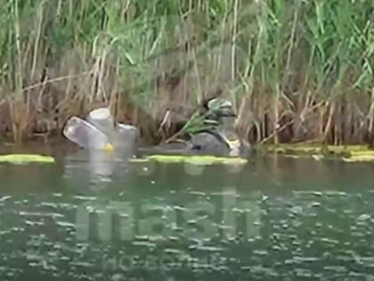 Нижегородского ловца устриц приняли за диверсанта в Севастополе