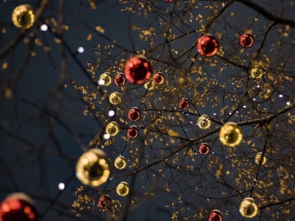 «За вклад в благоустройство»