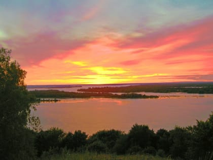 Что делать, если укусил клещ?