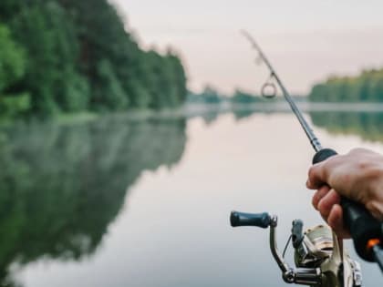 Увеличение производства рыбы в 2024 году