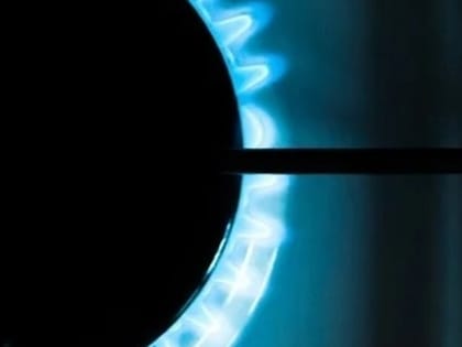 Прокуратура начала проверку по факту отравления газом 19-летней девушки в Лыскове