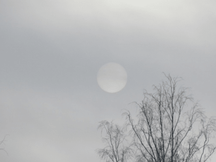 Небольшой снег и до -8°С ожидаются в Нижнем Новгороде 14 января