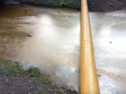 Странный цвет реки напугал нижегородцев