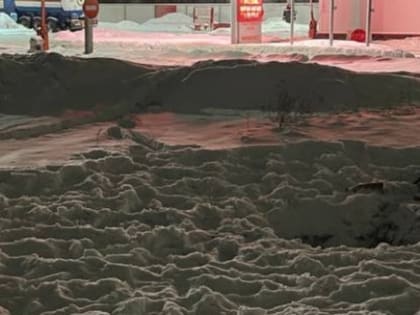 СК расследует гибель пропавшего месяц назад 18-летнего нижегородца