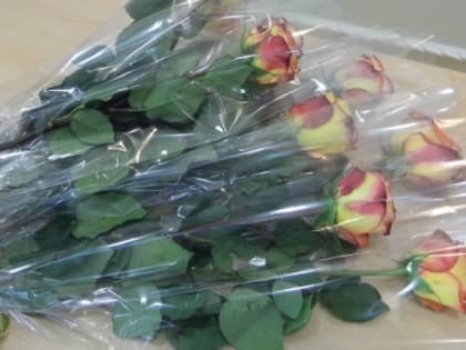 Мужчина ограбил цветочный магазин ради тысячи рублей в Заволжье