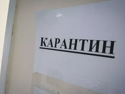 Нижегородские школы и детсады закрывают на карантин