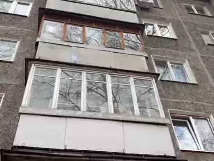 «Собаки умирают». Нижегородскую полицию заинтересовал «концлагерь для животных»