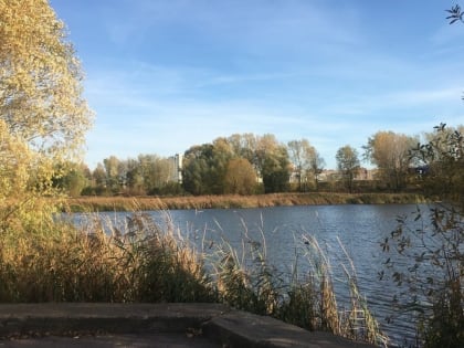 Нижегородские власти взялись за ЭТО