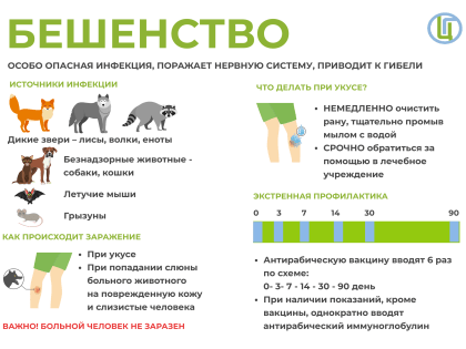 Памятка населению по профилактике бешенства