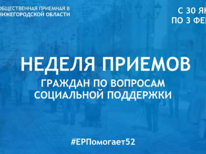 Помощь вынужденным переселенцам, поддержка проектов, адресная помощь оказавшимся в трудной ситуации: в Борском округе проходит Неделя приемов  по вопросам соцподдержки