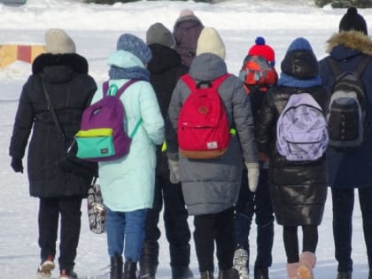 "Формировать сознание": Путин поручил разработать новые учебники "Истории"