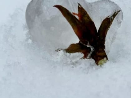 Небольшой снег и морозы до -8 °C придут в Нижний Новгород 28 февраля