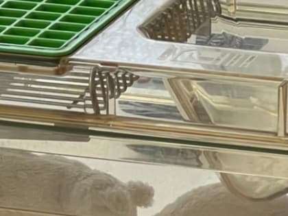 Ректор ННГУ заявила о снижении интереса школьников к естественным наукам