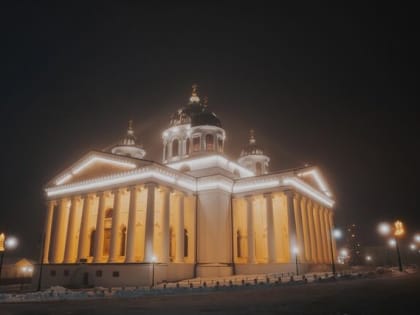 Заметки фенолога: каким был декабрь