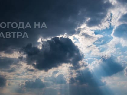 Сильные дожди и грозы обрушатся на Москву в выходные