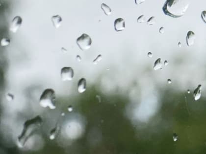 Небольшой дождь с холодами до +2 °C обещают нижегородцам 10 октября