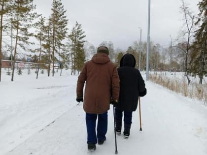 Все виды страховых пенсий повысились