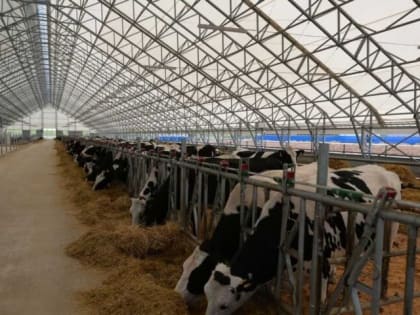 Роботы-дояры и электронные пастухи