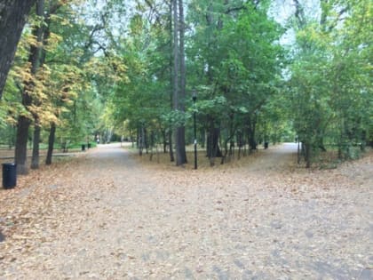 Благоустройство парка Кулибина в Нижнем Новгороде стартует в 2023 году