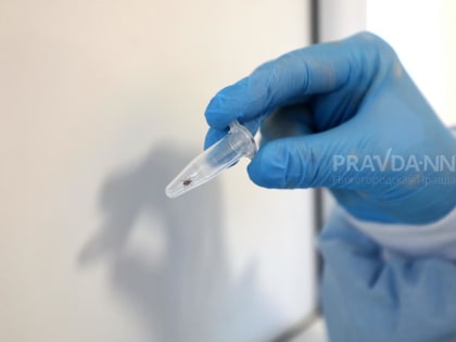 Первый за весну случай присасывания клеща зафиксировали в Нижегородской области