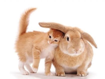 Земное счастье и небесное блаженство или почему мы не Боги?